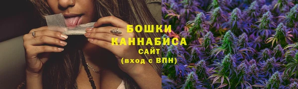 амф Верея