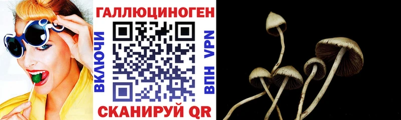 Псилоцибиновые грибы мицелий  Адыгейск 